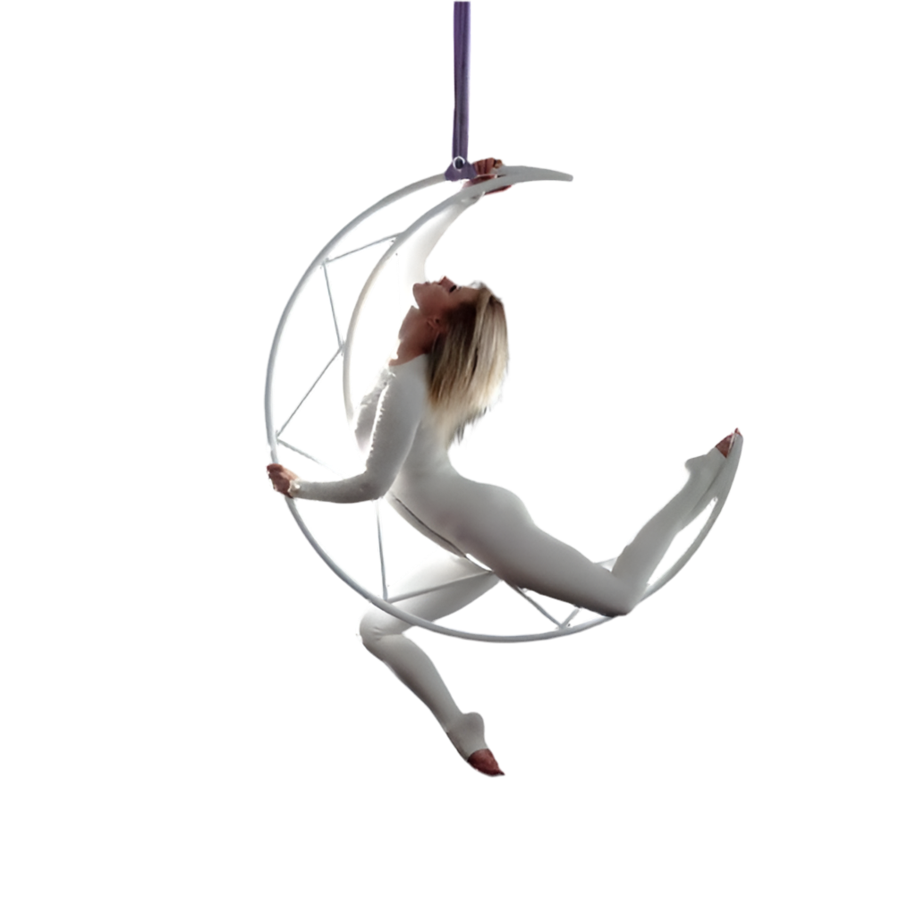 Aerial Arts Performance Program All Levels - 1 ON 1 “IN PERSON OR ONLINE”