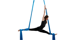 Load image into Gallery viewer, Aerial Silks - 1 ON 1 Private Training
